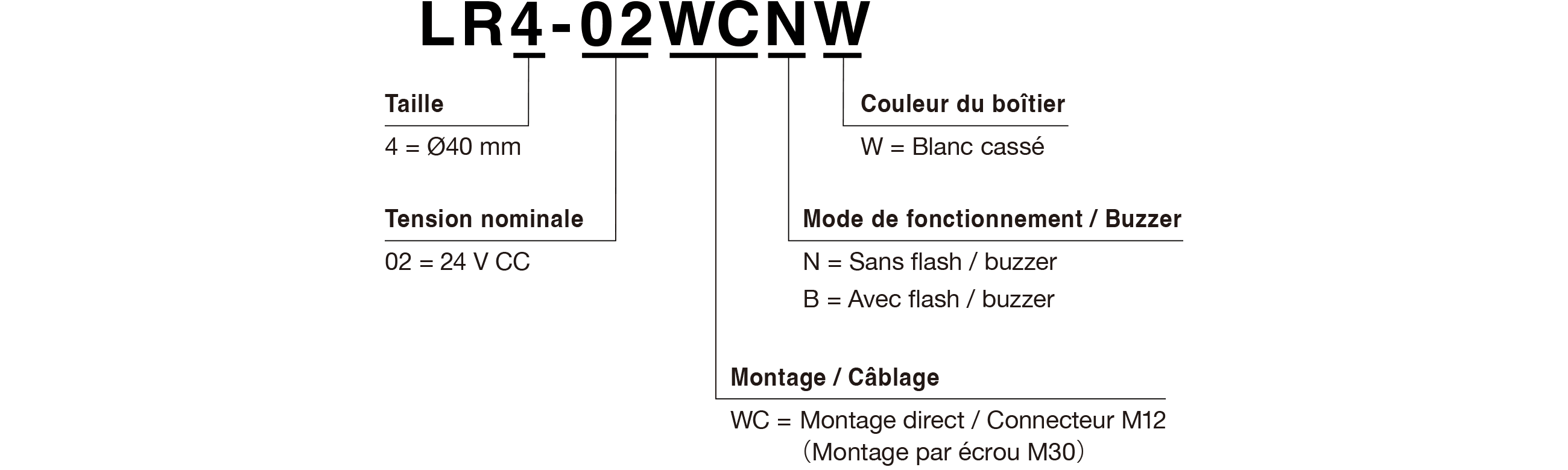 Code du modèle